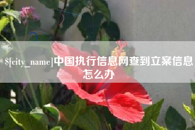 垦利中国执行信息网查到立案信息怎么办