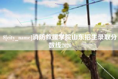 垦利消防救援学院山东招生录取分数线2020