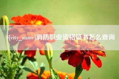 垦利消防职业资格证书怎么查询