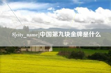 垦利中国第九块金牌是什么