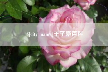 垦利王子豪百科