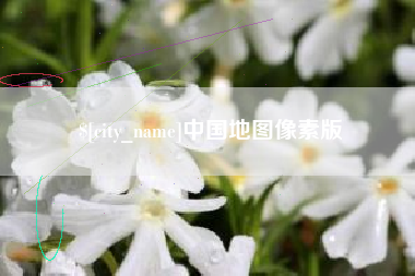 垦利中国地图像素版