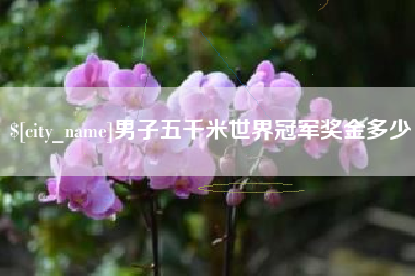 垦利男子五千米世界冠军奖金多少