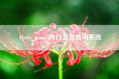 垦利执行公告查询系统