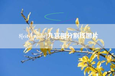 垦利九宫图分割线图片