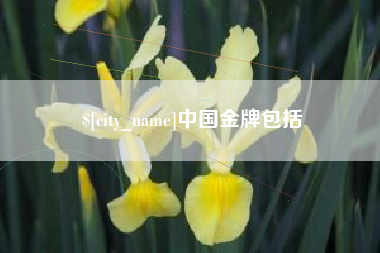 垦利中国金牌包括