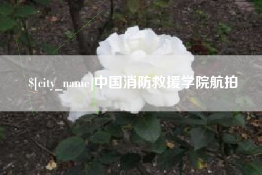 垦利中国消防救援学院航拍