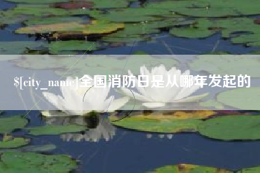 垦利全国消防日是从哪年发起的