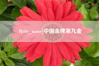 垦利中国金牌第九金