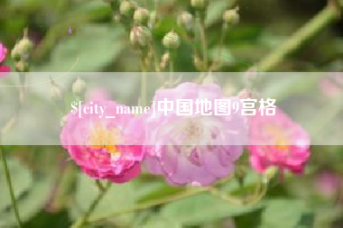 垦利中国地图9宫格