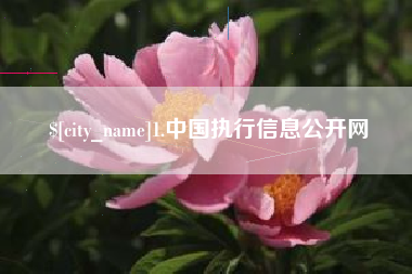 垦利1.中国执行信息公开网
