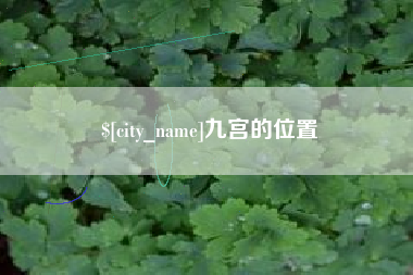 垦利九宫的位置