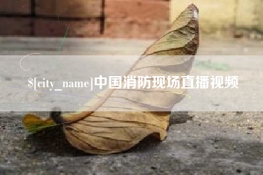 垦利中国消防现场直播视频