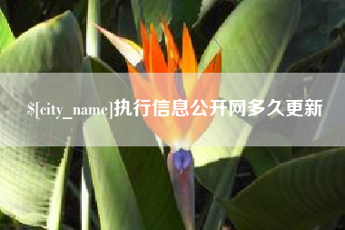 垦利执行信息公开网多久更新