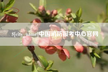 垦利中国消防报考中心官网