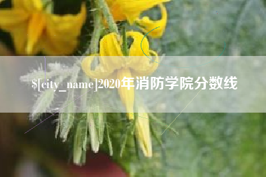 垦利2020年消防学院分数线