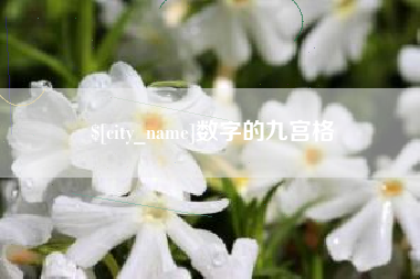 垦利数字的九宫格