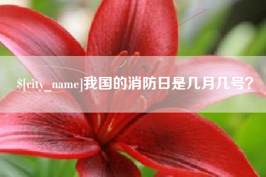 垦利我国的消防日是几月几号？