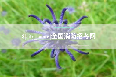 垦利全国消防招考网