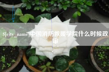 垦利中国消防救援学院什么时候政审