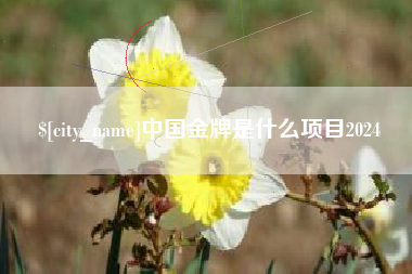 垦利中国金牌是什么项目2024