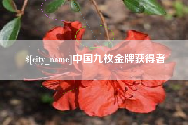 垦利中国九枚金牌获得者