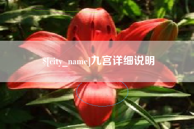 垦利九宫详细说明