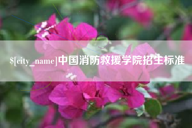 垦利中国消防救援学院招生标准