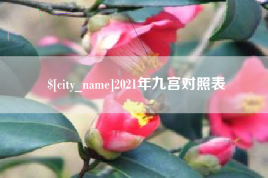 垦利2021年九宫对照表