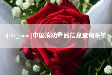 垦利中国消防产品信息查询系统1