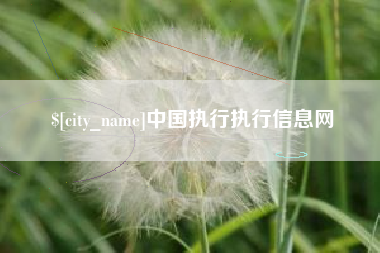 垦利中国执行执行信息网