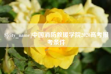 垦利中国消防救援学院2020高考报考条件