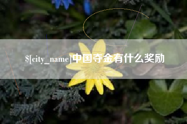 垦利中国夺金有什么奖励
