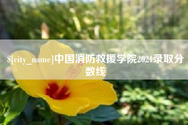 垦利中国消防救援学院2021录取分数线