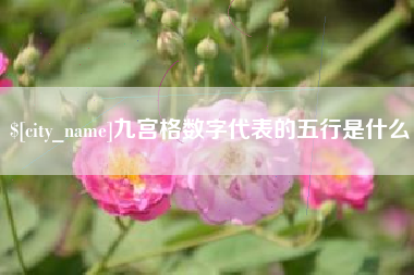 垦利九宫格数字代表的五行是什么