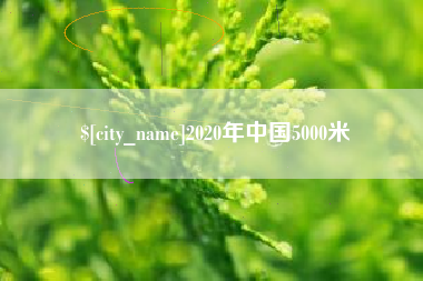 垦利2020年中国5000米