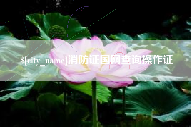 垦利消防证国网查询操作证