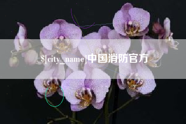 垦利中国消防官方