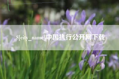 垦利中国执行公开网下载