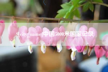 垦利中国5000米国家记录