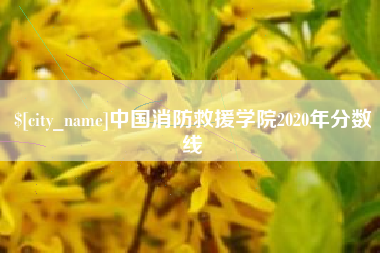 垦利中国消防救援学院2020年分数线