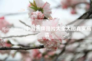 垦利中国金牌图片大全大图真实高清