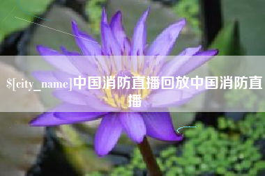 垦利中国消防直播回放中国消防直播