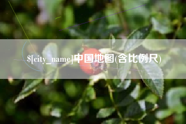 垦利中国地图(含比例尺)