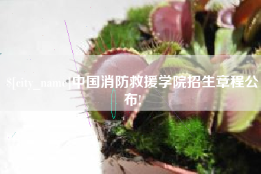 垦利中国消防救援学院招生章程公布!