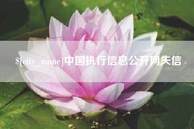 垦利中国执行信息公开网失信
