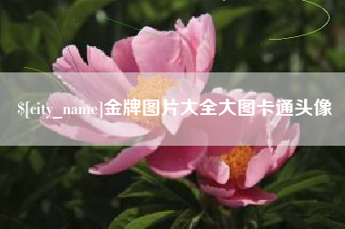 垦利金牌图片大全大图卡通头像