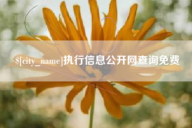 垦利执行信息公开网查询免费