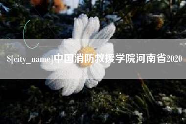 垦利中国消防救援学院河南省2020